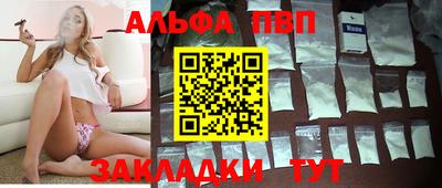 стафф Кингисепп
