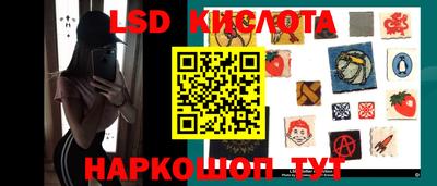 стафф Кингисепп