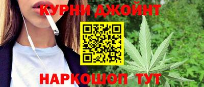 сатива Кимры