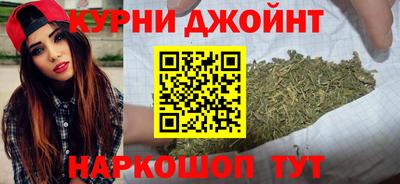сатива Кимры