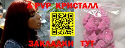 стафф Кингисепп