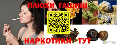 стафф Кингисепп